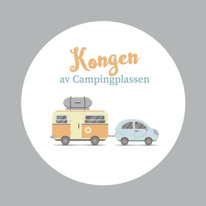 Hovedbilde Lunsjservietter Kongen av campingplassen hvit/grå ...
