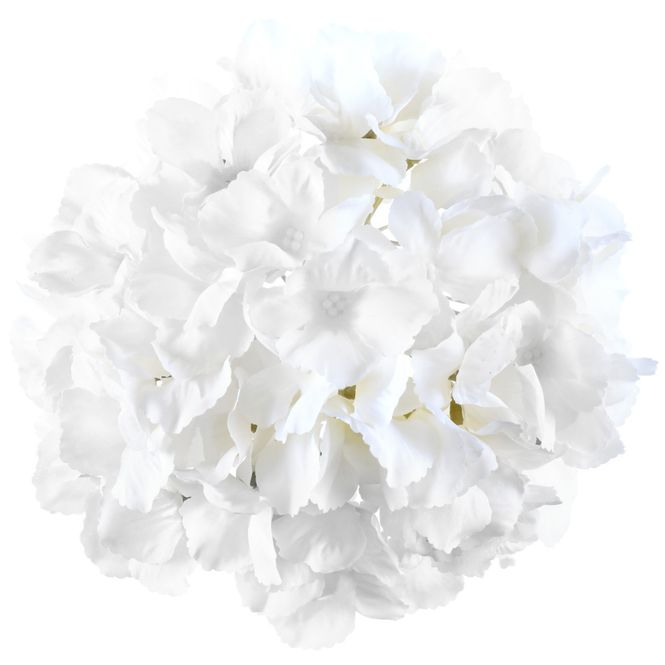 Hovedbilde Hortensia hvit Ø20 cm